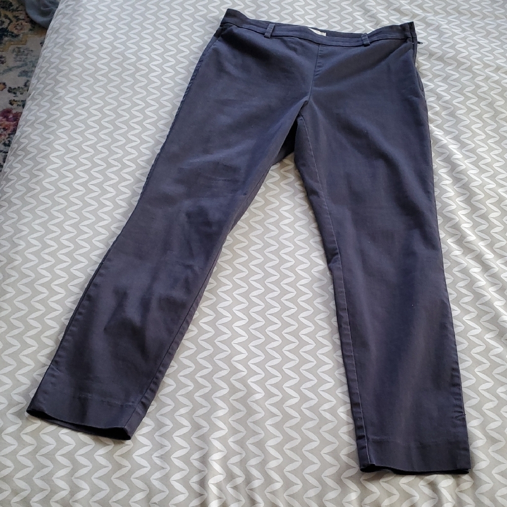 Chic Navy Pixie Pants